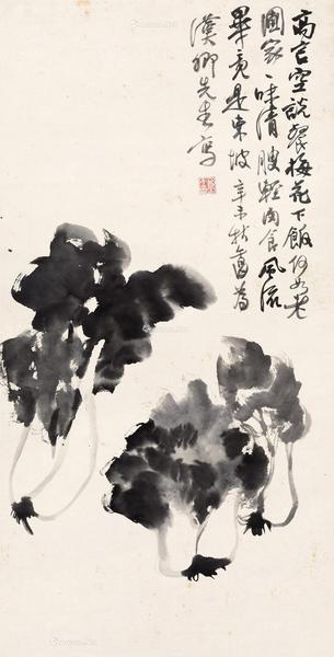  白菜 立轴 水墨纸本