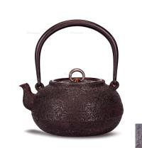  明治时期 龙文堂七代安之介造˙雕刻唐铜盖˙铁壶