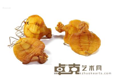  石肚鳘鱼胶 --