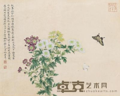  2008年作 菊花蝴蝶 镜框 设色纸本 52×66cm