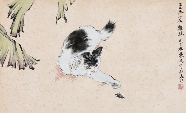  戊子(1948年)作 蕉荫猫趣 镜心 设色纸本