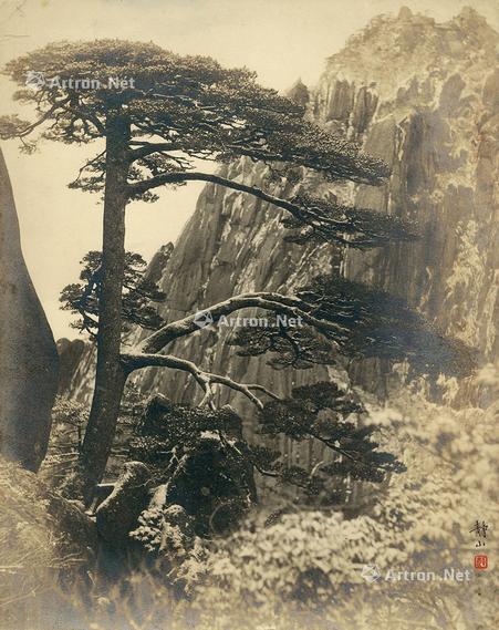  1934年 黄山迎客松 银盐纸基