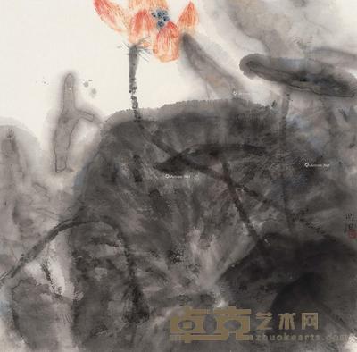 荷塘幽幽 镜框 设色纸本 50×51cm