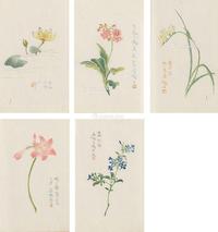  王师子花卉笺