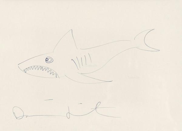 鲨鱼 圆珠笔手稿